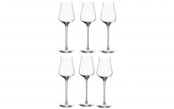 Leonardo Grappaglas Brunelli 210 Ml, 6 Stück, Transparent - Schnaps- & Likör Gläser
