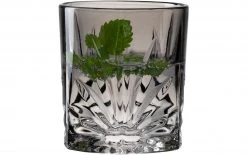 Leonardo Whiskyglas Capri 220 Ml, 4 Stück, Grau - Whiskygläser -Gläser Verkaufsgeschäft 1344554 3 3