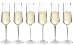 Leonardo Sektglas Puccini 280 Ml, 6 Stück, Transparent - Sektgläser