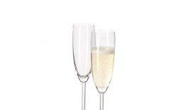 Leonardo Sektglas Daily 200 Ml, 6 Stück, Transparent - Sektgläser -Gläser Verkaufsgeschäft 537678 3 5