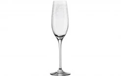 Leonardo Sektglas Chateau 200 Ml, 6 Stück, Transparent - Sektgläser -Gläser Verkaufsgeschäft 552323 2 5