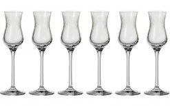 Leonardo Grappaglas Chateau 90 Ml, 6 Stück, Transparent - Schnaps- & Likör Gläser